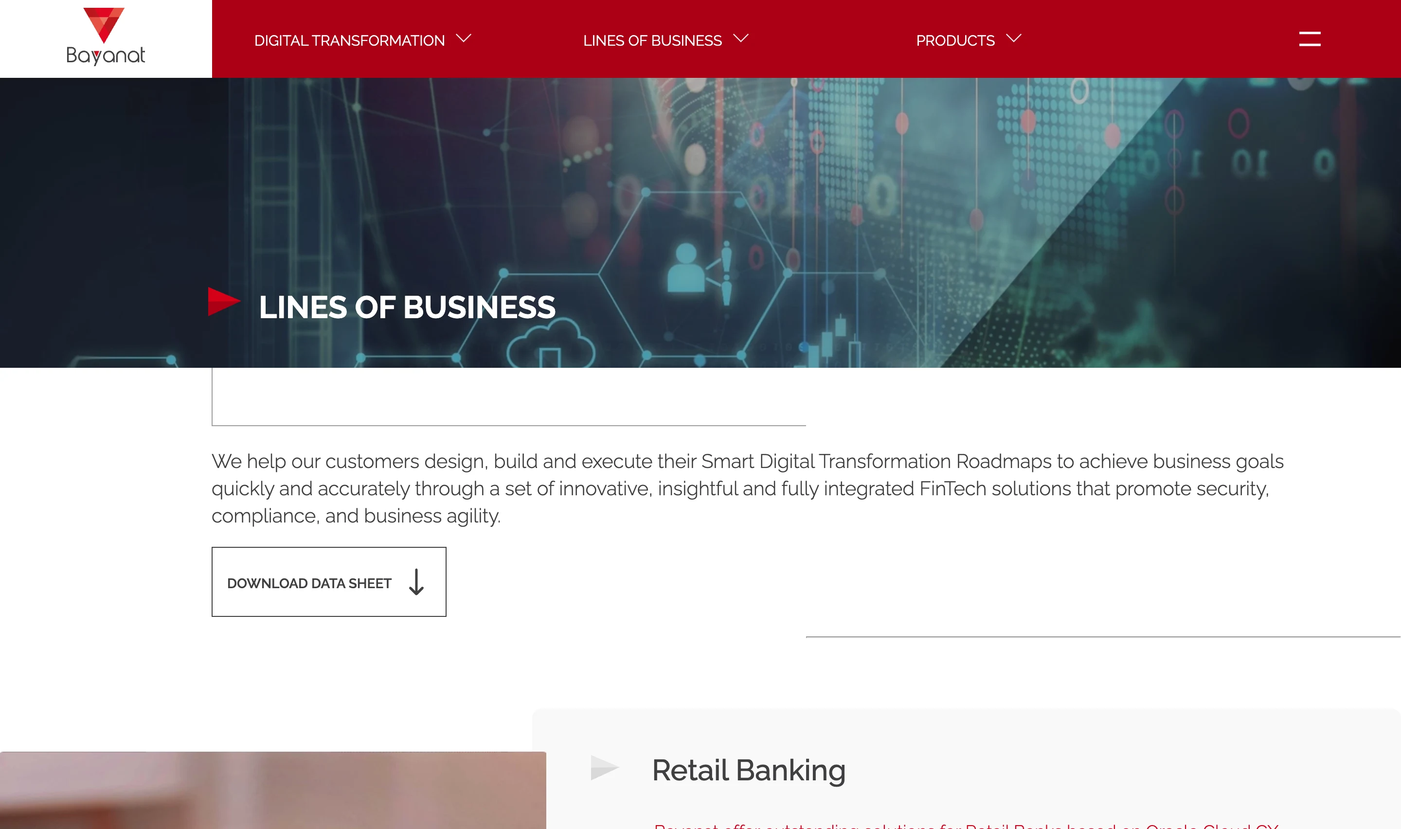 Bayanat Lines of Business page presenting the firm's service areas as structured content sections