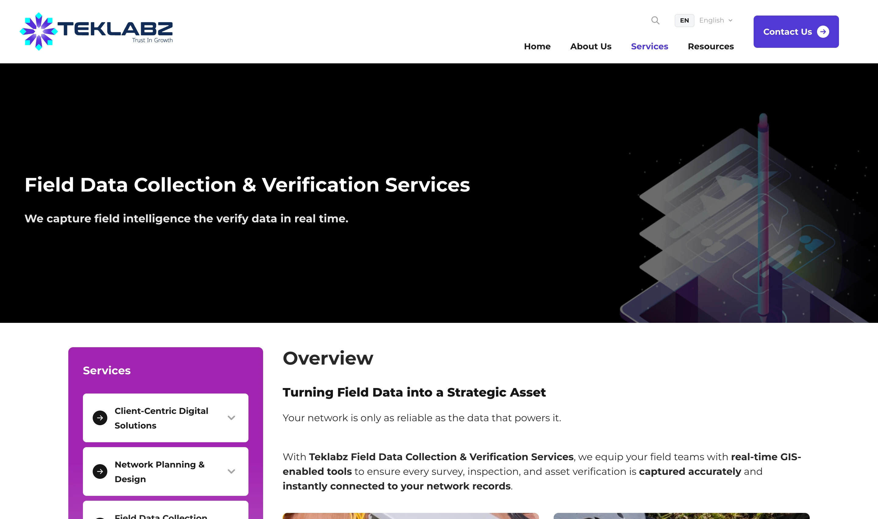 Teklabz Field Data Collection and Verification Services page hero, with a left-hand menu listing the full set of Esri-powered services